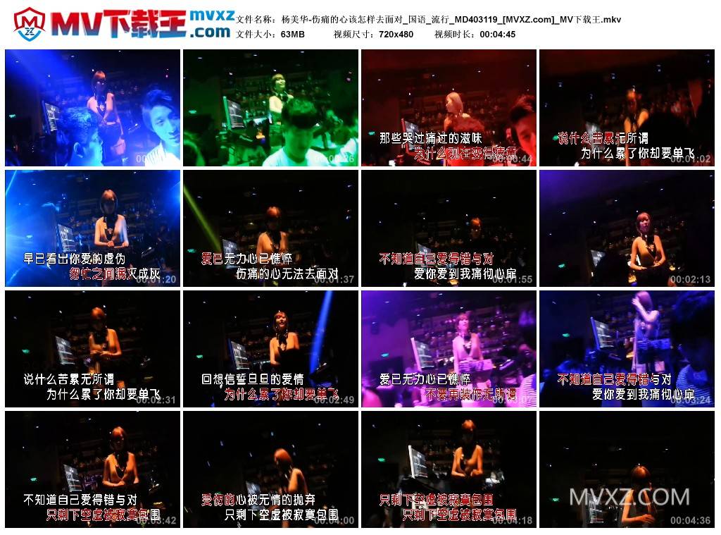 杨美华-伤痛的心该怎样去面对_国语_流行_MD403119